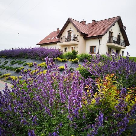 Apartamenty, Zielone Wzgorze Wiktora W Mikolajkach Mikołajki Kültér fotó