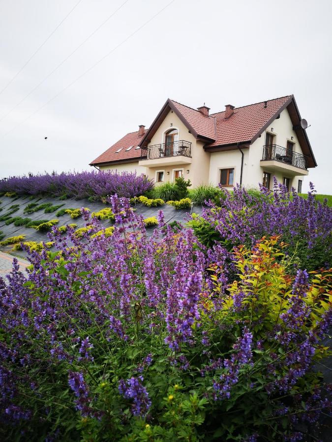 Apartamenty, Zielone Wzgorze Wiktora W Mikolajkach Mikołajki Kültér fotó
