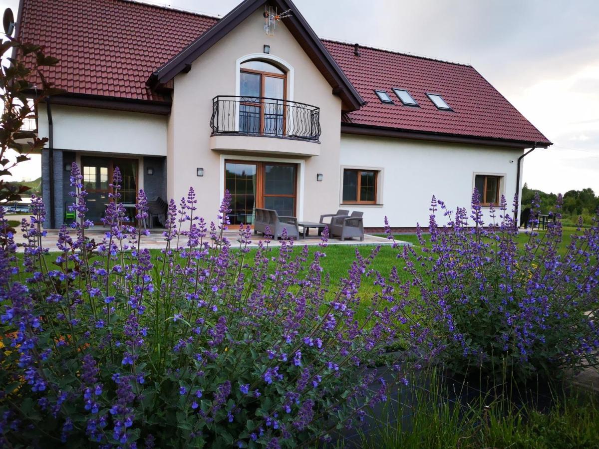Apartamenty, Zielone Wzgorze Wiktora W Mikolajkach Mikołajki Kültér fotó